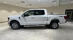 2024 Ford F-150 SuperCrew Cab 4x4, Pickup for sale #F27851 - photo 6