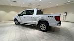 2024 Ford F-150 SuperCrew Cab 4x4, Pickup for sale #F27851 - photo 2