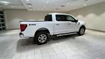 2024 Ford F-150 SuperCrew Cab 4x4, Pickup for sale #F27933 - photo 3