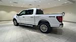 2024 Ford F-150 SuperCrew Cab 4x4, Pickup for sale #F27968 - photo 2