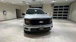 New 2024 Ford F-150 STX SuperCrew Cab 4x2, Pickup for sale #F28076 - photo 4