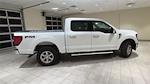 2024 Ford F-150 SuperCrew Cab 4x4, Pickup for sale #F28080 - photo 4