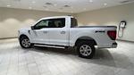 2024 Ford F-150 SuperCrew Cab 4x4, Pickup for sale #F28080 - photo 2
