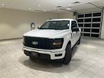 New 2024 Ford F-150 STX SuperCrew Cab 4x4, Pickup for sale #F28155 - photo 1