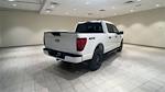 New 2024 Ford F-150 STX SuperCrew Cab 4x4, Pickup for sale #F28155 - photo 3