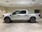 New 2024 Ford F-150 STX SuperCrew Cab 4x4, Pickup for sale #F28441 - photo 3