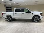 New 2024 Ford F-150 STX SuperCrew Cab 4x4, Pickup for sale #F28441 - photo 6