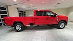 New 2024 Ford F-250 XLT Crew Cab 4x4, Pickup for sale #F28538 - photo 4