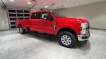 New 2024 Ford F-250 XLT Crew Cab 4x4, Pickup for sale #F28538 - photo 5