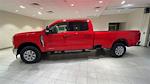 New 2024 Ford F-250 XLT Crew Cab 4x4, Pickup for sale #F28538 - photo 8