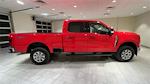 Used 2023 Ford F-250 XLT Crew Cab 4x4, Pickup for sale #F28617 - photo 4