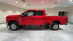 Used 2023 Ford F-250 XLT Crew Cab 4x4, Pickup for sale #F28617 - photo 8