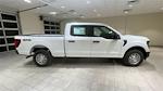 New 2024 Ford F-150 XL SuperCrew Cab 4x4, Pickup for sale #F28626 - photo 4