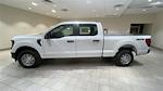 New 2024 Ford F-150 XL SuperCrew Cab 4x4, Pickup for sale #F28626 - photo 8