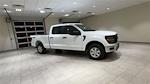 New 2024 Ford F-150 XL SuperCrew Cab 4x4, Pickup for sale #F28639 - photo 4