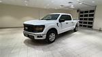 New 2024 Ford F-150 XL SuperCrew Cab 4x4, Pickup for sale #F28639 - photo 6