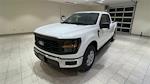 New 2024 Ford F-150 XL Super Cab 4x4, Pickup for sale #F28803 - photo 7