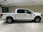 New 2024 Ford F-150 XLT SuperCrew Cab 4x4, Pickup for sale #F28804 - photo 14