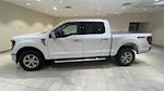 New 2024 Ford F-150 XLT SuperCrew Cab 4x4, Pickup for sale #F28804 - photo 8