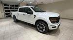 New 2024 Ford F-150 STX SuperCrew Cab 4x4, Pickup for sale #F28821 - photo 5