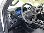 New 2024 Ford F-150 STX SuperCrew Cab 4x4, Pickup for sale #F28875 - photo 17