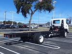 New 2024 Chevrolet LCF 6500XD Regular Cab 4x2, Cab Chassis for sale #RSA02835 - photo 2