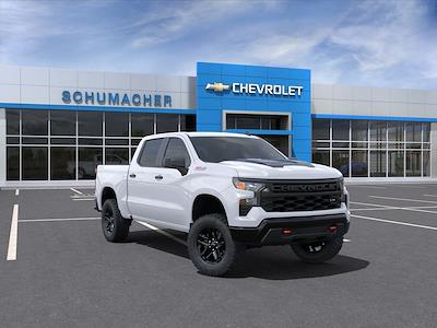 New 2024 Chevrolet Silverado 1500 Custom Crew Cab 4x4, Pickup for sale #F241335 - photo 1