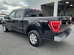 Used 2023 Ford F-150 XLT SuperCrew Cab 4x4, Pickup for sale #3550041 - photo 6