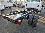 New 2024 Chevrolet Silverado 5500 Work Truck Crew Cab 4x2, Cab Chassis for sale #23738 - photo 14