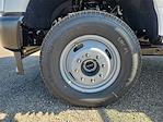 2024 Ford F-350 Crew Cab DRW 4x4, Cab Chassis for sale #453467 - photo 3