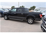 Used 2017 Ford F-150 XLT SuperCrew Cab 4x2, Pickup for sale #E91326A - photo 2