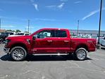 New 2024 Ford F-150 XLT SuperCrew Cab 4WD, Pickup for sale #27502 - photo 5