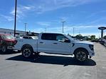 New 2024 Ford F-150 STX SuperCrew Cab 4WD, Pickup for sale #27625 - photo 16