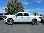 New 2024 Ford F-150 STX SuperCrew Cab 4WD, Pickup for sale #27625 - photo 6