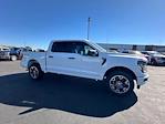 New 2024 Ford F-150 STX SuperCrew Cab 4WD, Pickup for sale #27672 - photo 16