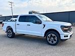 New 2024 Ford F-150 STX SuperCrew Cab 4WD, Pickup for sale #27681 - photo 11