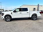 New 2024 Ford F-150 STX SuperCrew Cab 4WD, Pickup for sale #27681 - photo 5