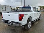 New 2024 Ford F-150 XLT SuperCrew Cab 4WD, Pickup for sale #27738 - photo 8