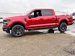 New 2024 Ford F-150 STX SuperCrew Cab 4WD, Pickup for sale #27788 - photo 5