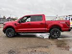 New 2024 Ford F-150 STX SuperCrew Cab 4WD, Pickup for sale #27788 - photo 6