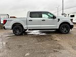 New 2024 Ford F-150 STX SuperCrew Cab 4WD, Pickup for sale #27791 - photo 10