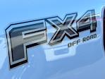 New 2024 Ford F-150 STX SuperCrew Cab 4WD, Pickup for sale #27796 - photo 16