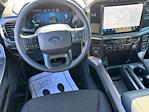 New 2024 Ford F-150 STX SuperCrew Cab 4WD, Pickup for sale #27796 - photo 27