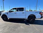 New 2024 Ford F-150 STX SuperCrew Cab 4WD, Pickup for sale #27796 - photo 6