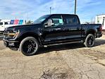 New 2024 Ford F-150 XLT SuperCrew Cab 4WD, Pickup for sale #27807 - photo 5