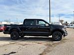 New 2024 Ford F-150 STX SuperCrew Cab 4WD, Pickup for sale #27809 - photo 10