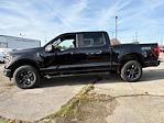 New 2024 Ford F-150 STX SuperCrew Cab 4WD, Pickup for sale #27809 - photo 6