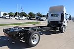 New 2024 Chevrolet LCF 4500HG Regular Cab RWD, Cab Chassis for sale #221816 - photo 2