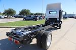 2024 Chevrolet LCF 4500HG Regular Cab RWD, Cab Chassis for sale #222180 - photo 2