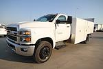 2024 Chevrolet Silverado 6500 Regular Cab DRW 2WD, Harbor SawMaster Saw Body for sale #RH077046 - photo 28